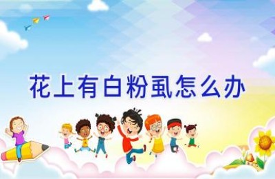 花上有白粉虱怎么办