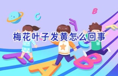 梅花叶子发黄怎么回事