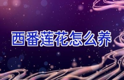 西番莲花怎么养
