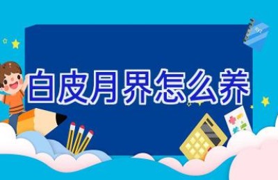 白皮月界怎么养