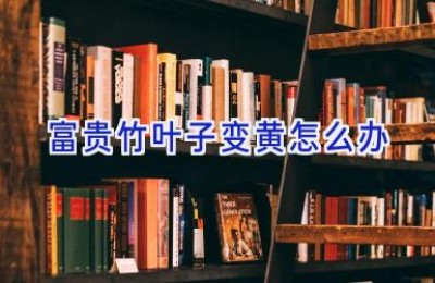 富贵竹叶子变黄怎么办