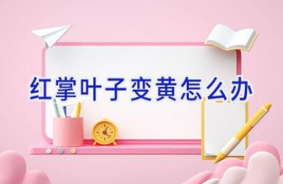 红掌叶子变黄怎么办