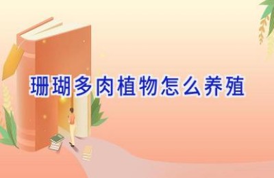 珊瑚多肉植物怎么养殖