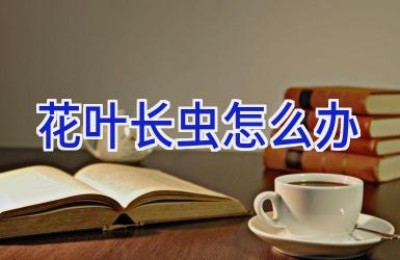 花叶长虫怎么办