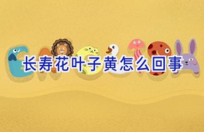 长寿花叶子黄怎么回事