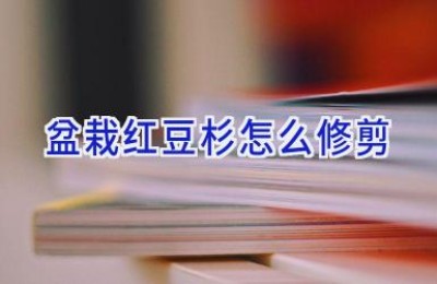 盆栽红豆杉怎么修剪