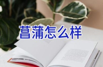 菖蒲怎么样