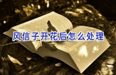 风信子开花后怎么处理