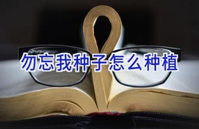 勿忘我种子怎么种植