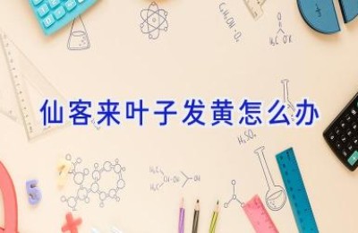 仙客来叶子发黄怎么办