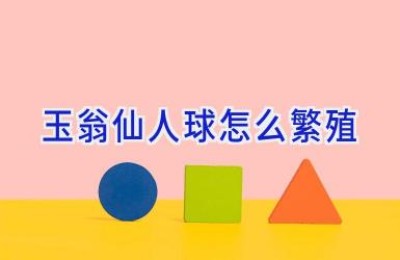 玉翁仙人球怎么繁殖