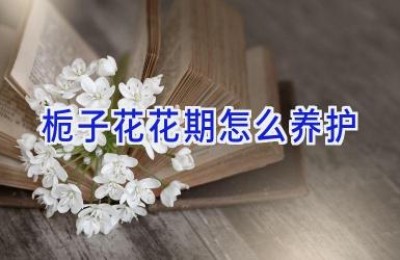 栀子花花期怎么养护
