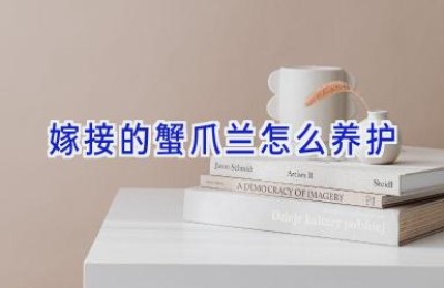 嫁接的蟹爪兰怎么养护