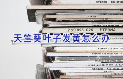 天竺葵叶子发黄怎么办