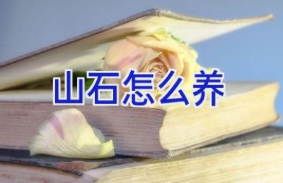 山石怎么养