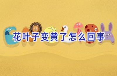 花叶子变黄了怎么回事