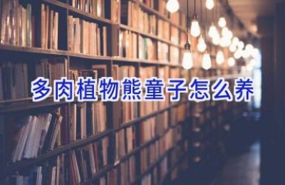 多肉植物熊童子怎么养