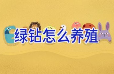 绿钻怎么养殖
