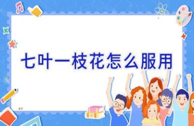 七叶一枝花怎么服用