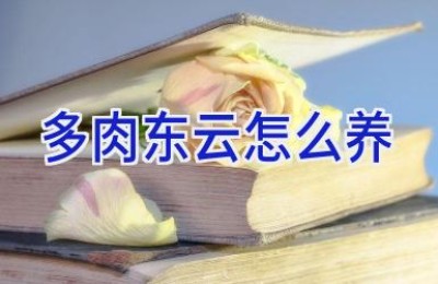 多肉东云怎么养