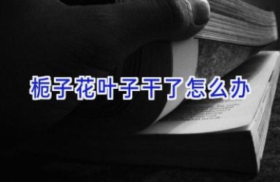 栀子花叶子干了怎么办