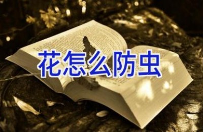 花怎么防虫