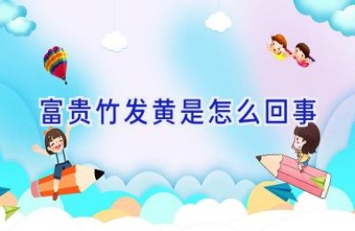 富贵竹发黄是怎么回事