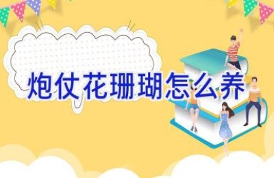 炮仗花珊瑚怎么养