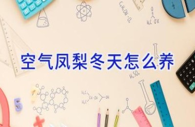 空气凤梨冬天怎么养