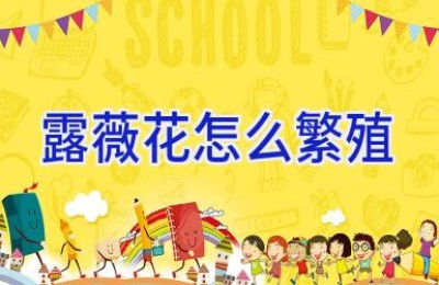 露薇花怎么繁殖