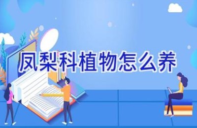 凤梨科植物怎么养