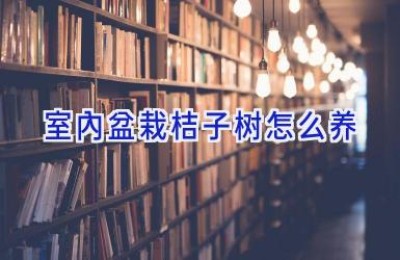 室内盆栽桔子树怎么养