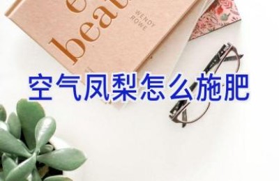 空气凤梨怎么施肥