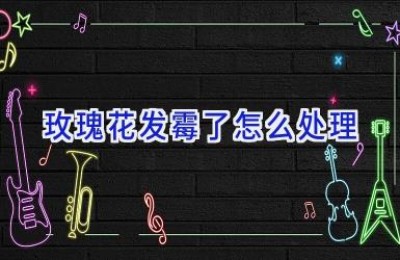 玫瑰花发霉了怎么处理