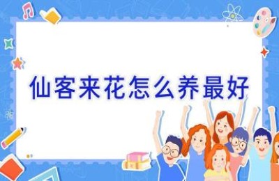 仙客来花怎么养最好