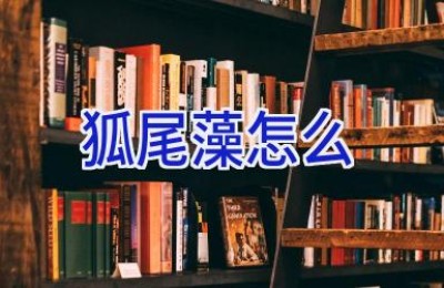 狐尾藻怎么