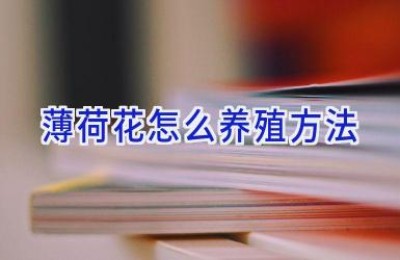 薄荷花怎么养殖方法