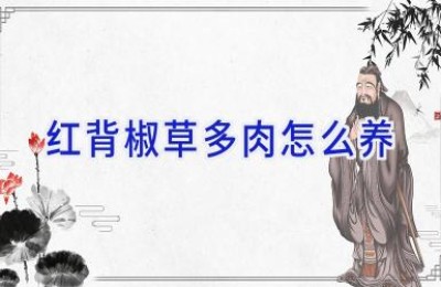 红背椒草多肉怎么养