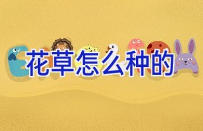 花草怎么种的