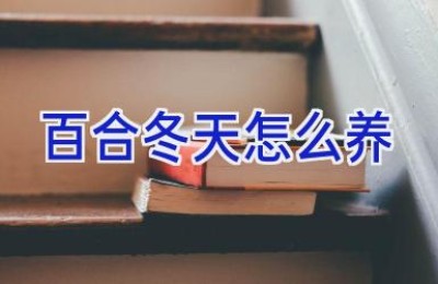 百合冬天怎么养