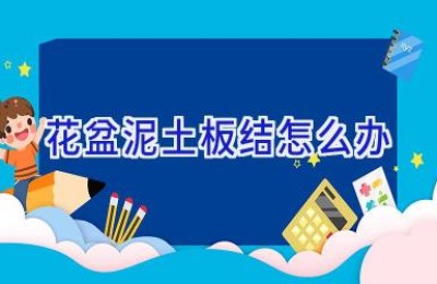 花盆泥土板结怎么办