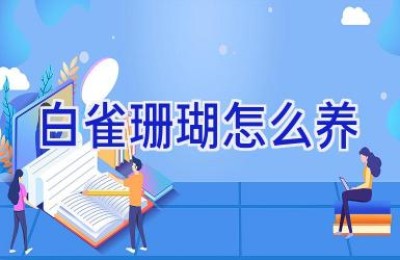 白雀珊瑚怎么养