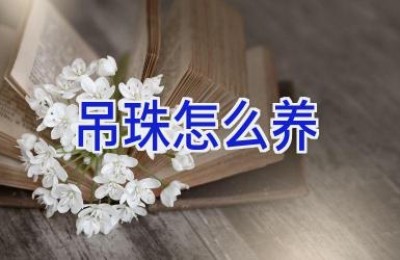 吊珠怎么养