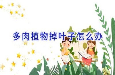 多肉植物掉叶子怎么办