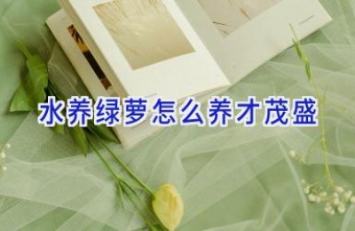 水养绿萝怎么养才茂盛