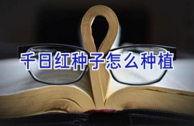 千日红种子怎么种植