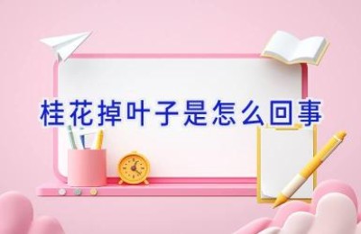 桂花掉叶子是怎么回事