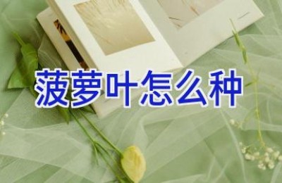 菠萝叶怎么种