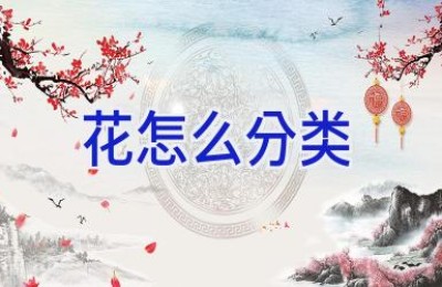 花怎么分类