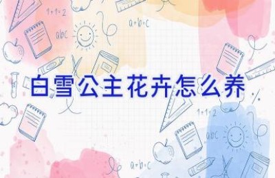 白雪公主花卉怎么养